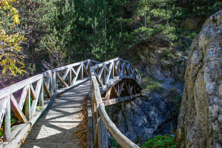 Gorentals-Lake-Kerkini-path