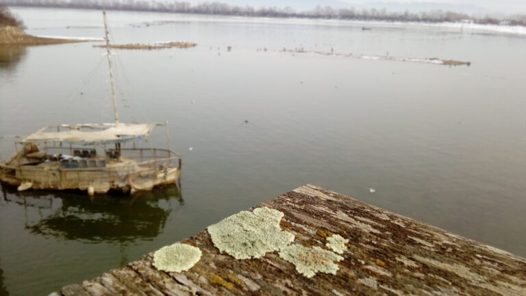 Serenity_on_Kerkini_Lake