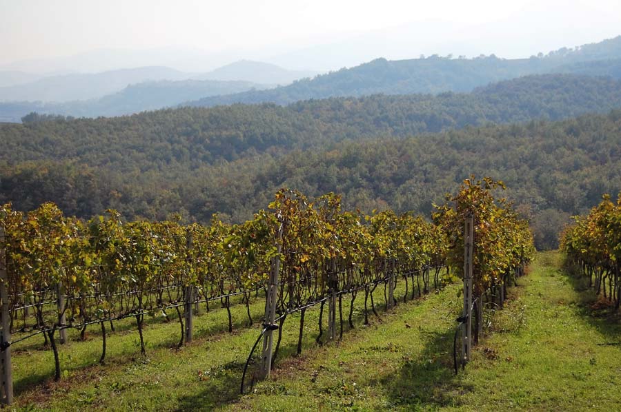 gorentals-ktima-kri_yianni-1