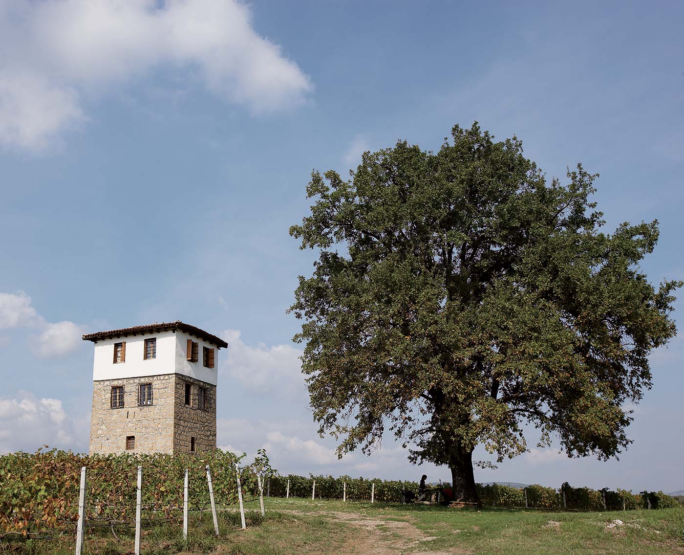 gorentals-ktima-kri_yianni-3